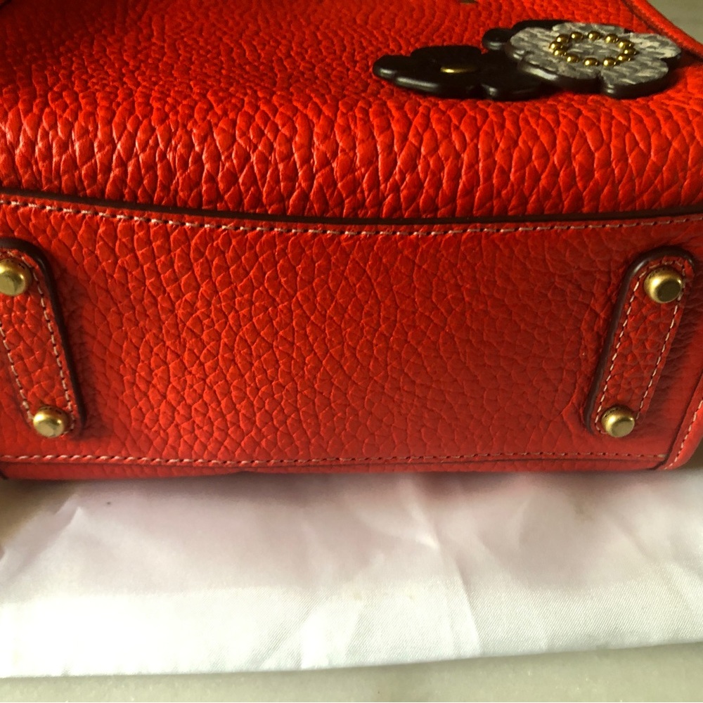🌹 RARE Coach Rogue 17 with Custom Tea Roses - Picture 4 of 12